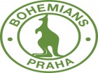 12870-140.jpg